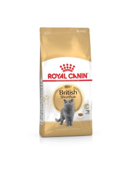 Royal Canin British Shorthair Adult