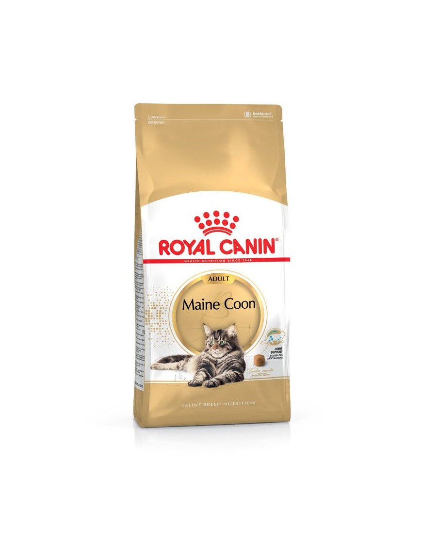 Royal Canin Maine Coon Adult