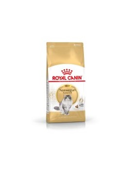 Royal Canin Norvégien Adult