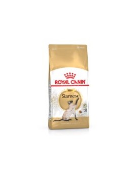 Royal Canin Siamois Adult