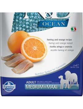 Farmina N&D Ocean Med/Maxi Hareng&orange
