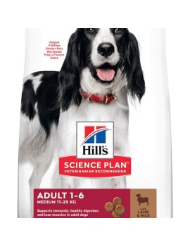 Hill's Science Plan Medium Agneau