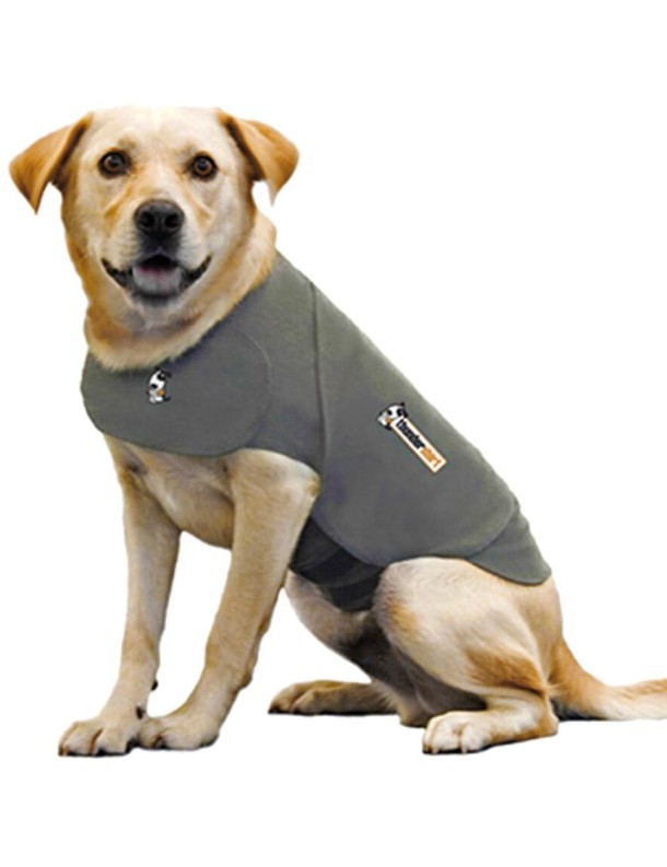 Thundershirt gris