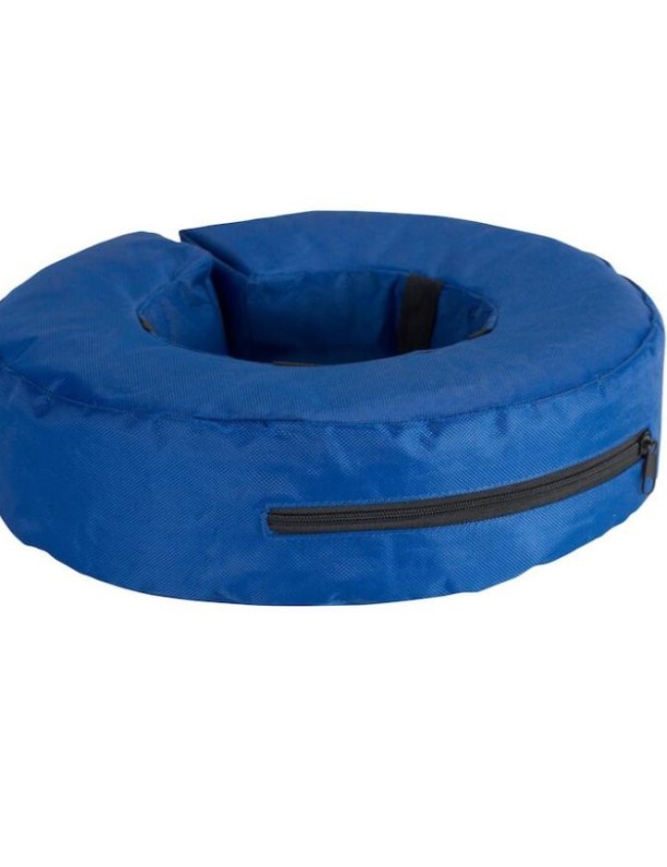 BUSTER Collerette bleue