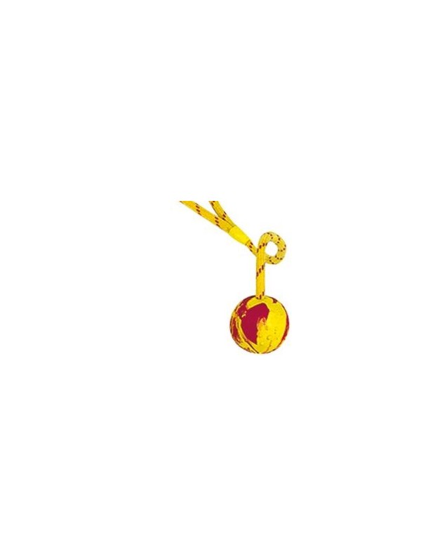 Sportball