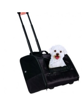 Trolley Elegance