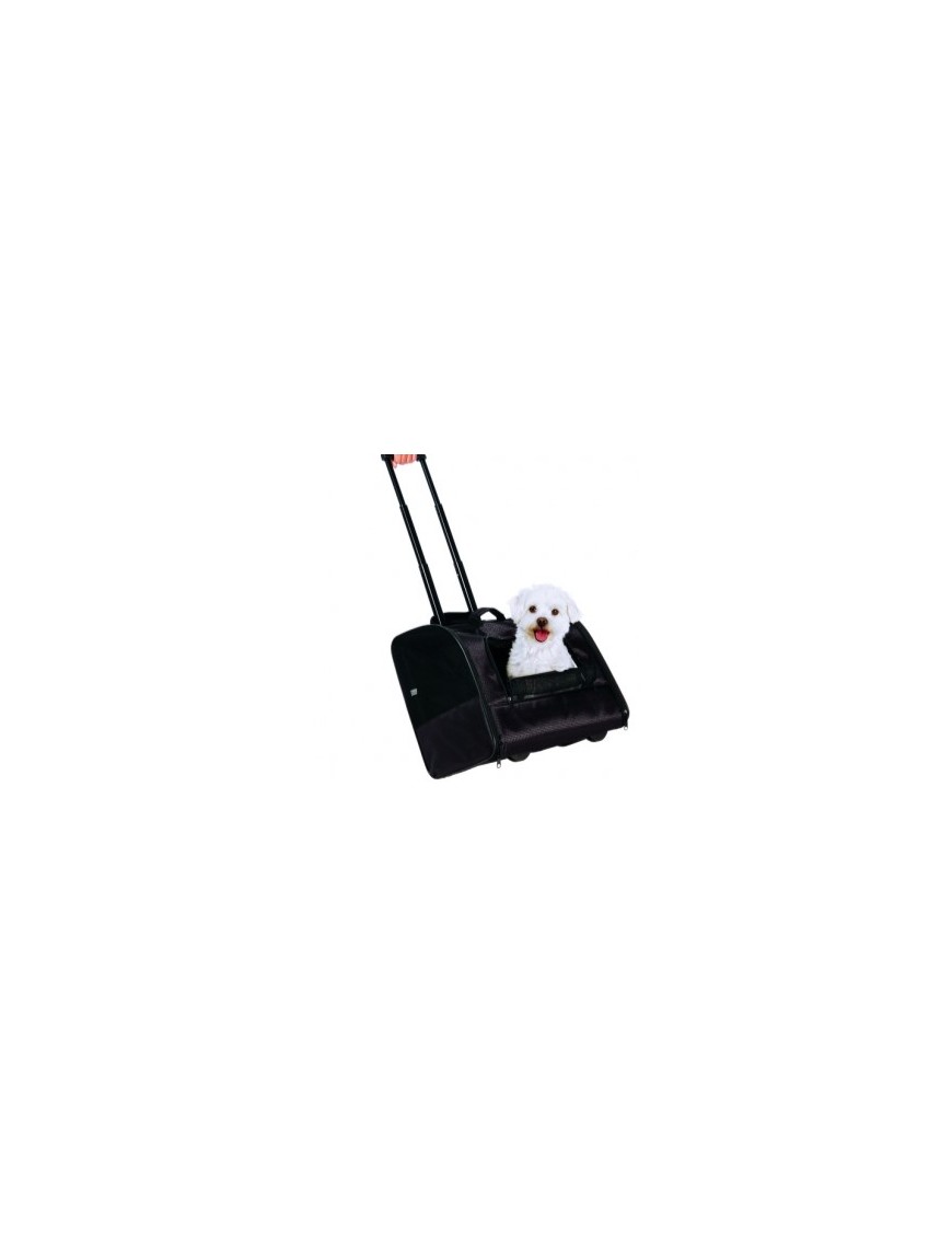 Trolley Elegance