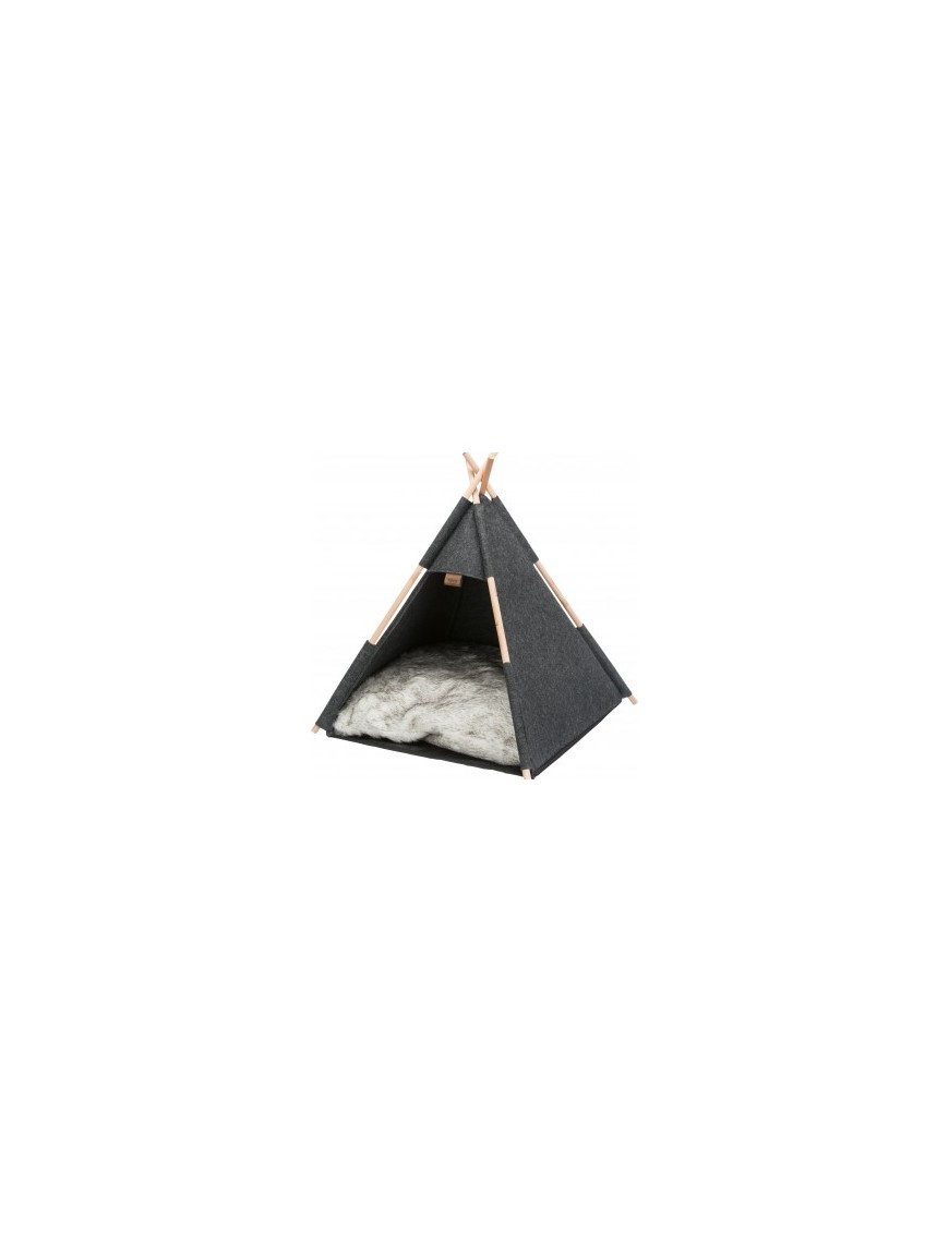 Abri Tipi