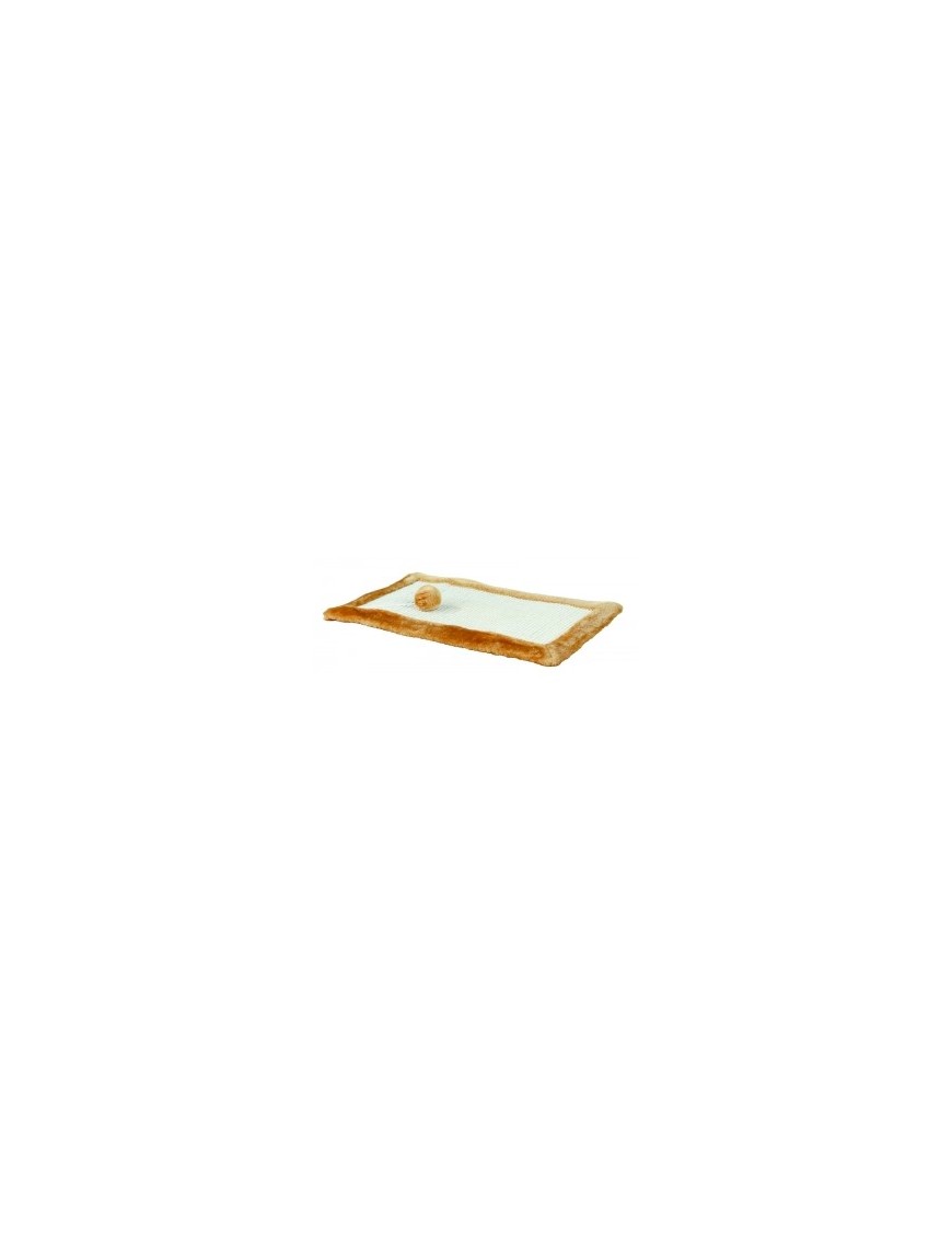 Tapis griffoir