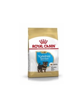 Royal Canin Yorkshire Terrier puppy