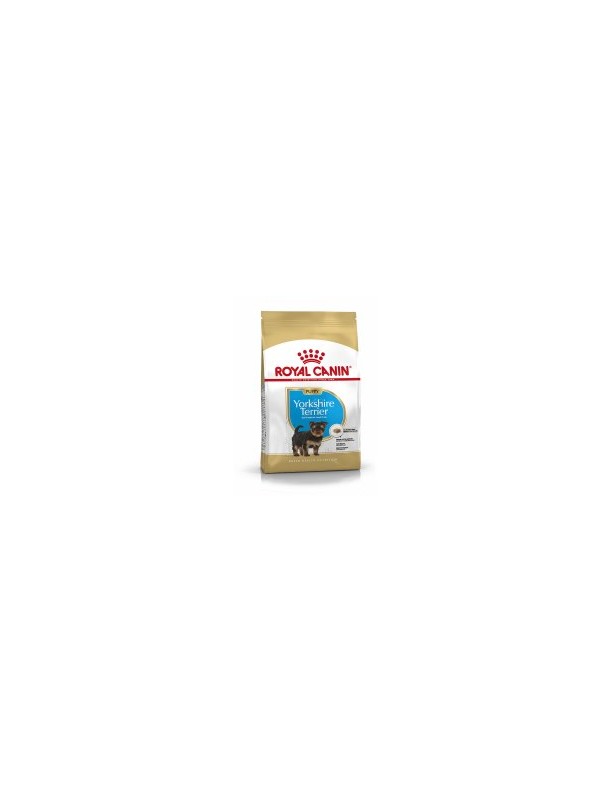 Royal Canin Yorkshire Terrier puppy