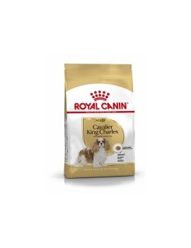 Royal Canin Cavalier King Charles adulte 1,5 kg