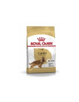 Royal Canin Cocker adulte