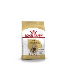 Royal Canin French Bulldog adulte