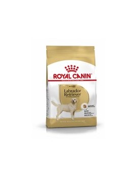 Royal Canin Labrador Retriever adulte