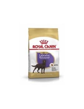 Royal Canin Labrador Retriever Sterilised adulte 12 kg