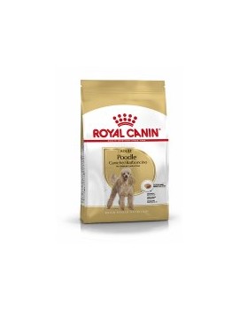 Royal Canin Poodle adulte