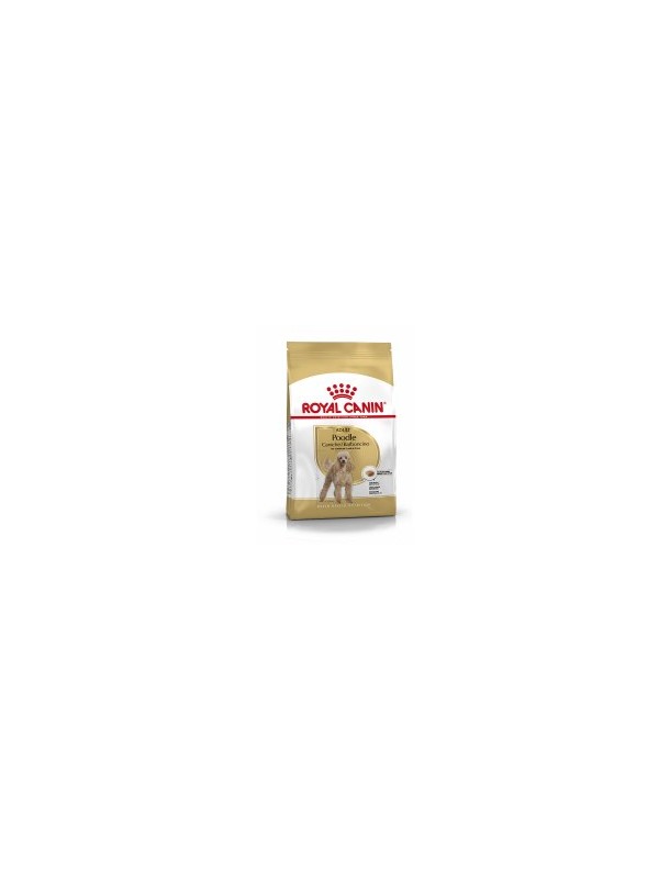 Royal Canin Poodle adulte