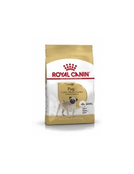 Royal Canin Pug adulte