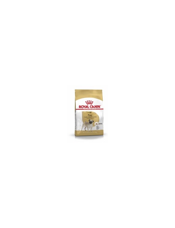Royal Canin Pug adulte