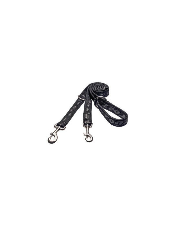 Alpinist Laisse