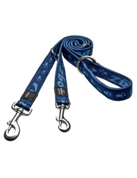 Alpinist Laisse