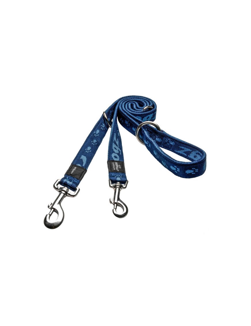 Alpinist Laisse
