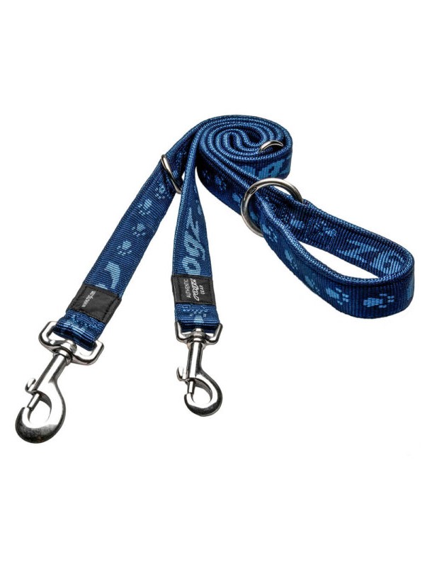 Alpinist Laisse