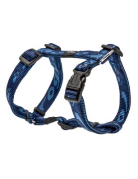 Alpinist Harnais