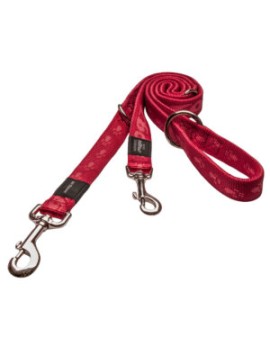 Alpinist Laisse
