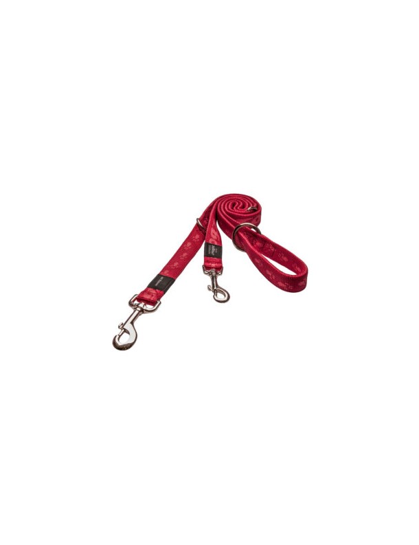Alpinist Laisse