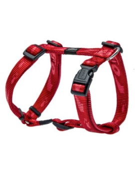 Alpinist Harnais