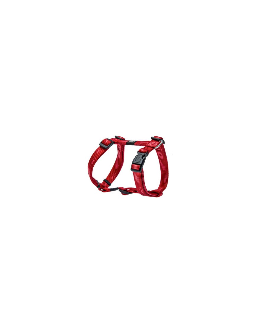Alpinist Harnais