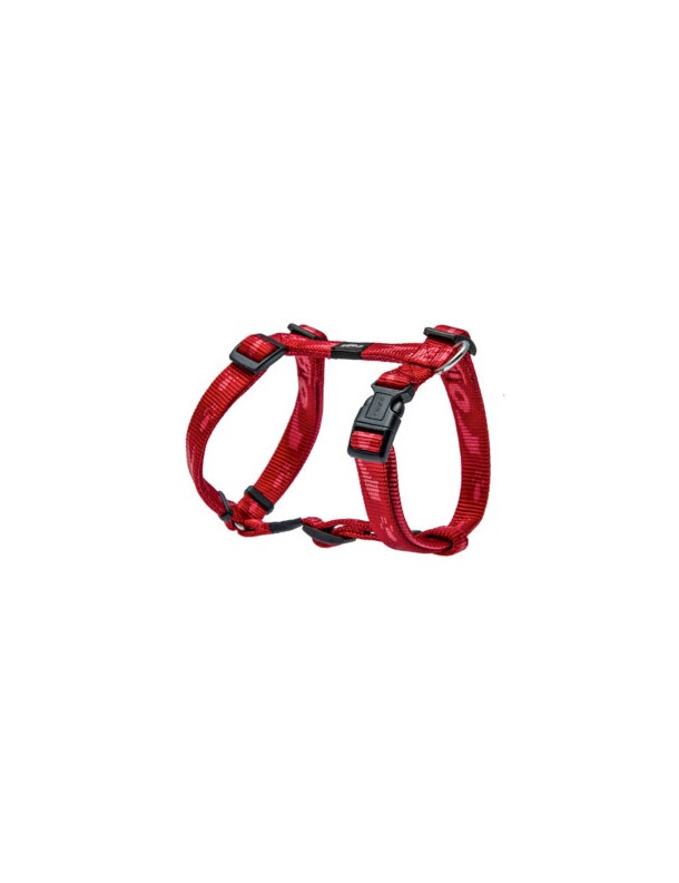Alpinist Harnais