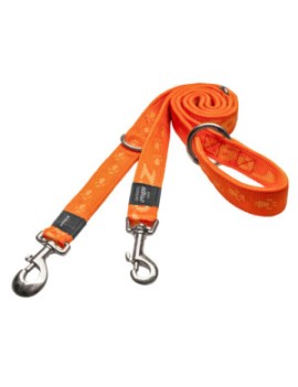 Alpinist Laisse