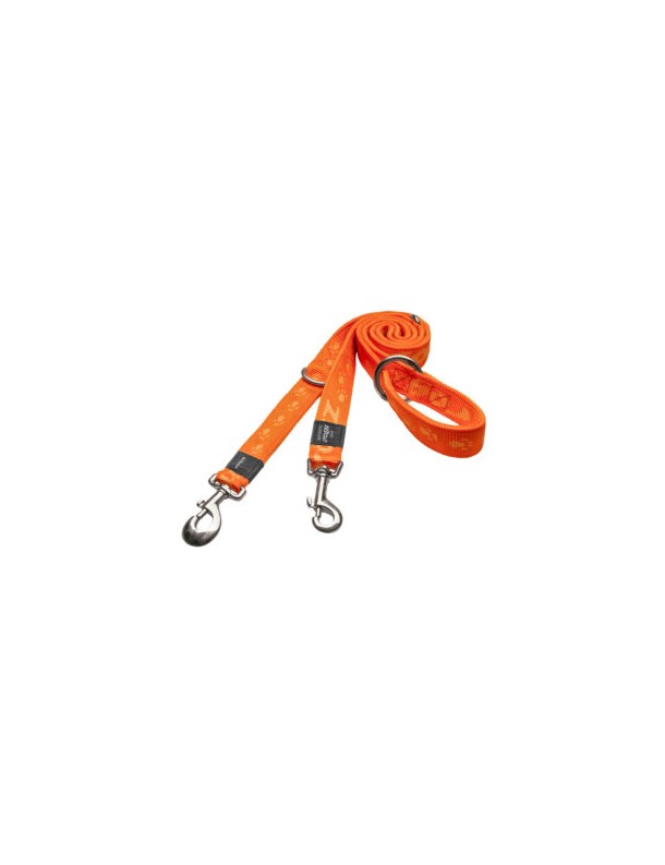 Alpinist Laisse