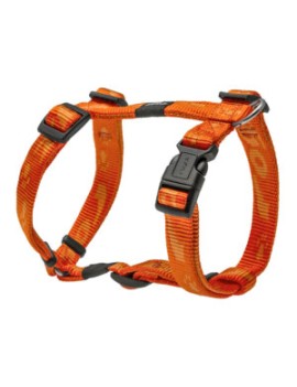 Alpinist Harnais