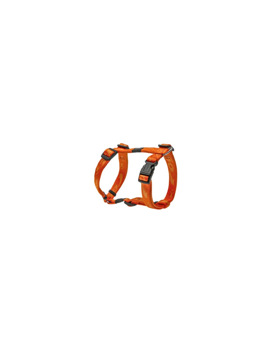 Alpinist Harnais