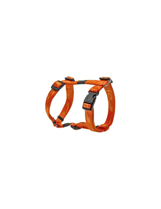 Alpinist Harnais