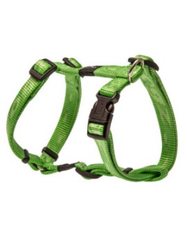 Alpinist Harnais