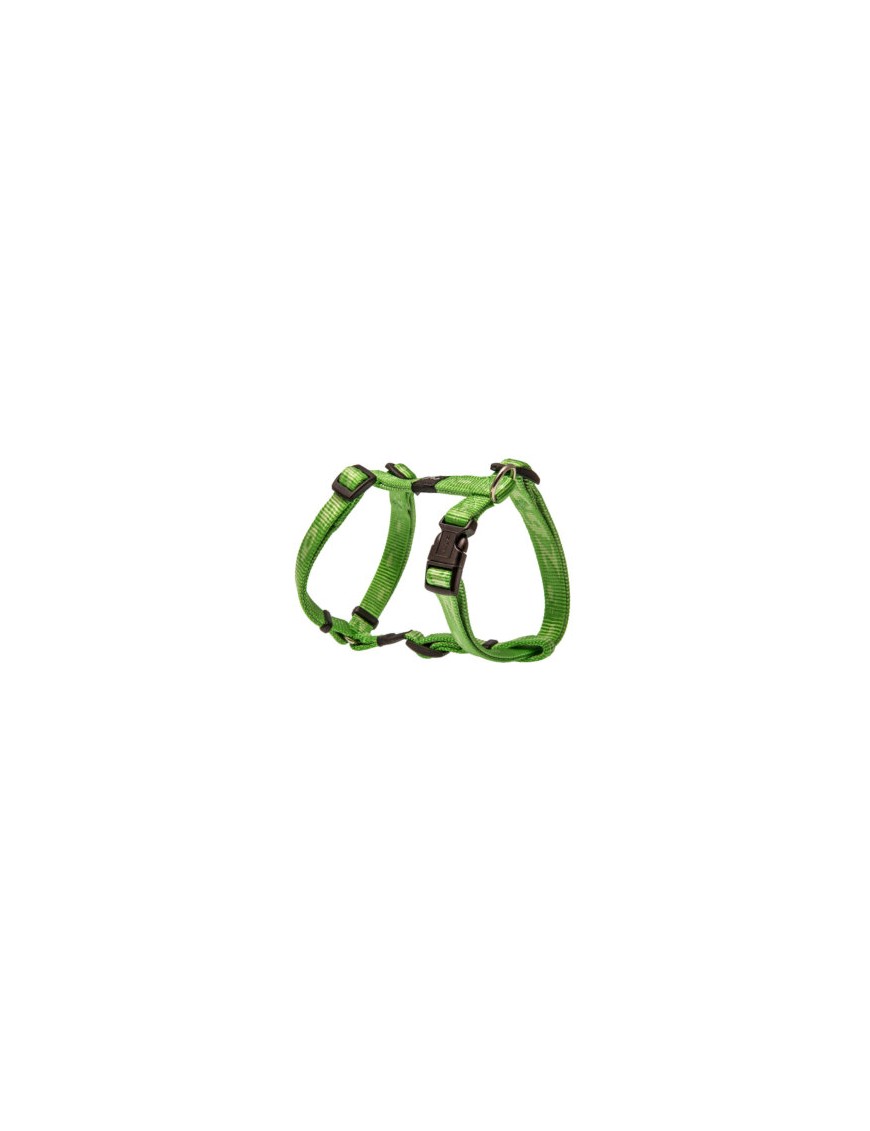 Alpinist Harnais