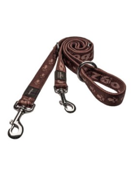 Alpinist Laisse