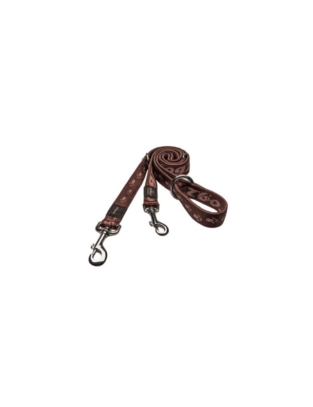 Alpinist Laisse