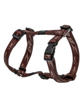 Alpinist Harnais