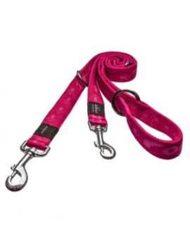 Alpinist Laisse