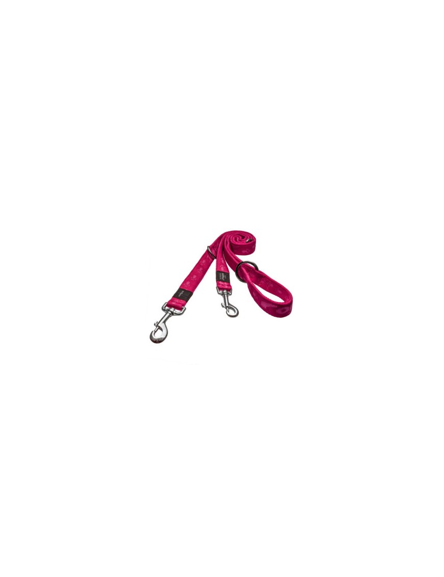 Alpinist Laisse