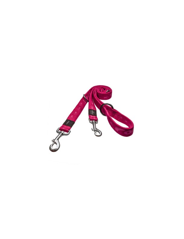 Alpinist Laisse