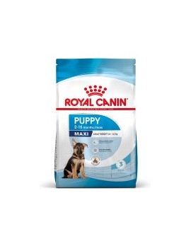 Royal Canin Maxi puppy