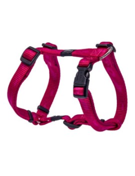 Alpinist Harnais