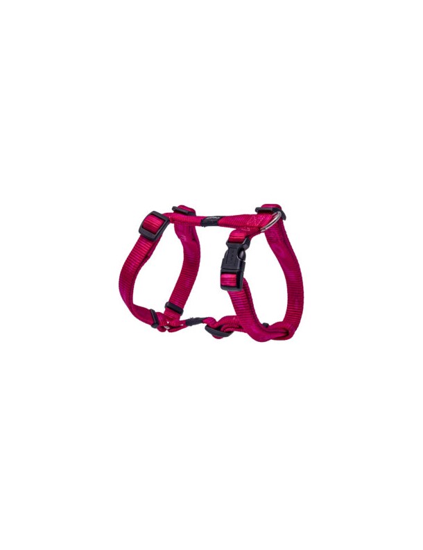 Alpinist Harnais